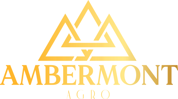 ambermontlogotipasauksinis